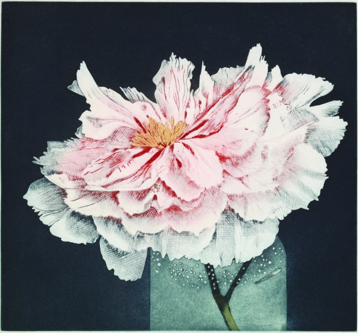Greta's Peony, 1976, aquatint and drypoint in blue and red inks, hand-colored with watercolor, 10 3/4 x 11 1/2 inches.