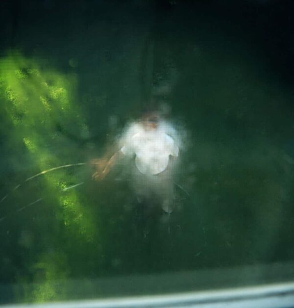 ALEXANDRA HEDISON - ARTWORKS