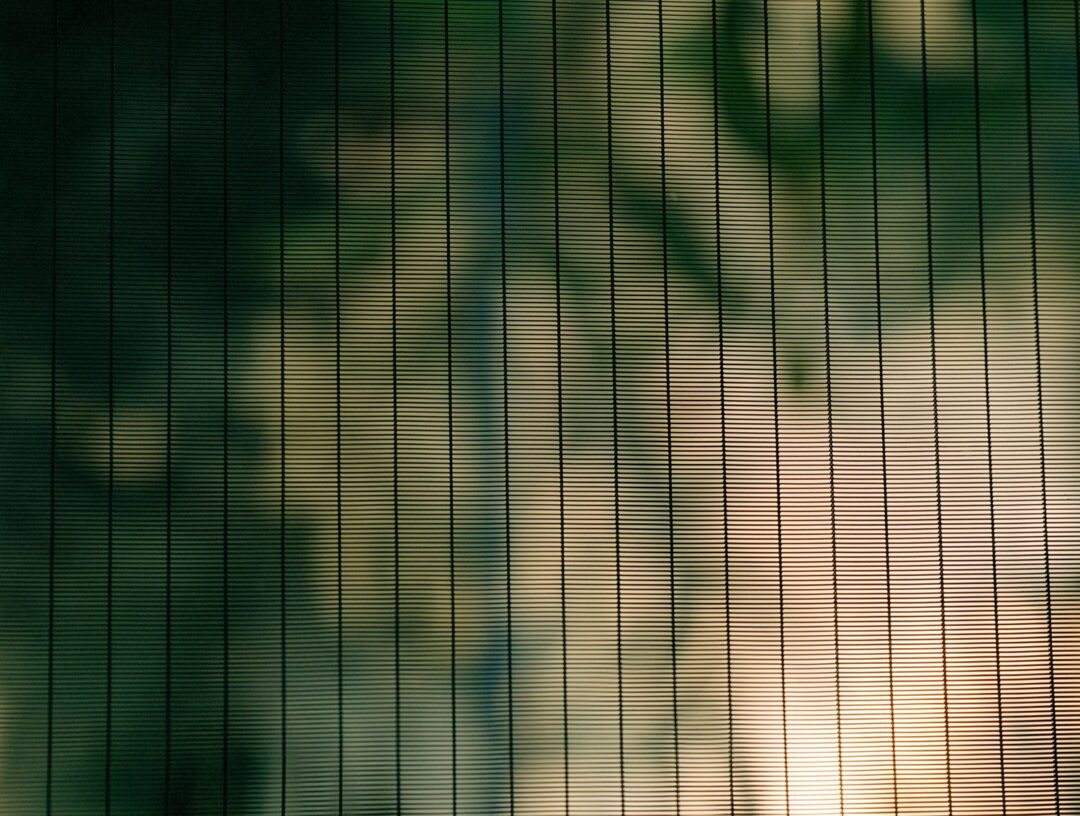 ALEXANDRA HEDISON - ARTWORKS