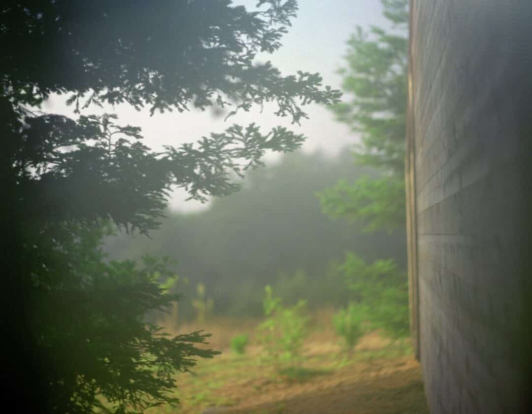 ALEXANDRA HEDISON - ARTWORKS